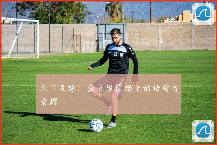 天下足球：盘点绿茵场上的传奇与荣耀