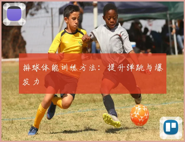 排球体能训练方法:提升弹跳与爆发力