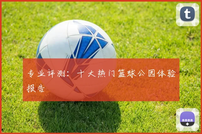 专业评测：十大热门篮球公园体验报告