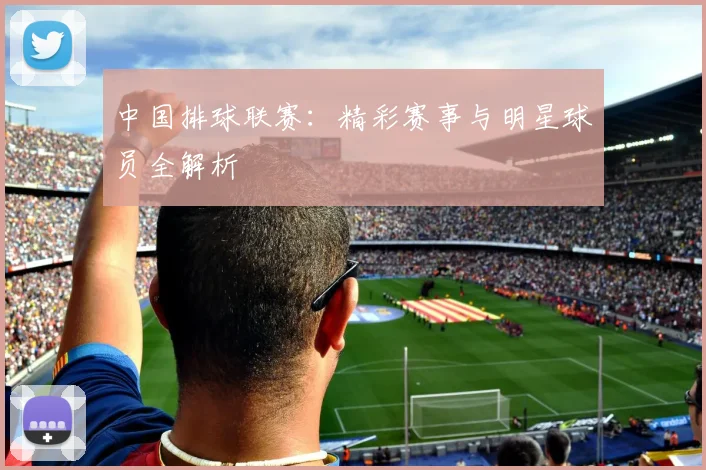 中国排球联赛：精彩赛事与明星球员全解析
